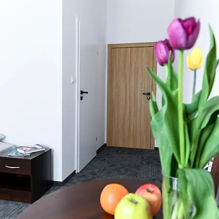 Appartement A&j Mostowa Old Town *