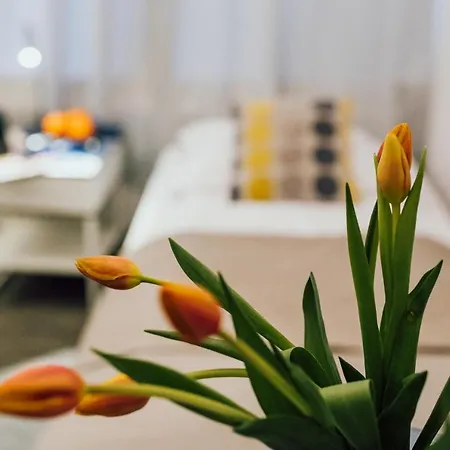 Apartament A&j Mostowa Old Town Poznań