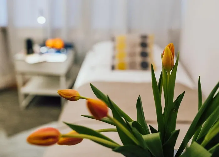 Apartman A&j Mostowa Old Town Poznań